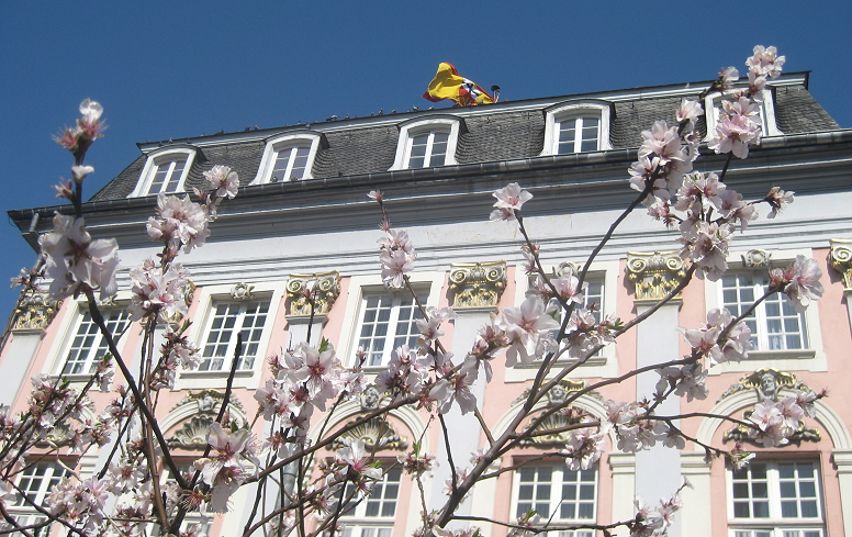 Bonner Rathaus im Frhjahr